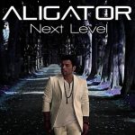 Dj Aligator The Perfect Match Aligators Chillout Remix